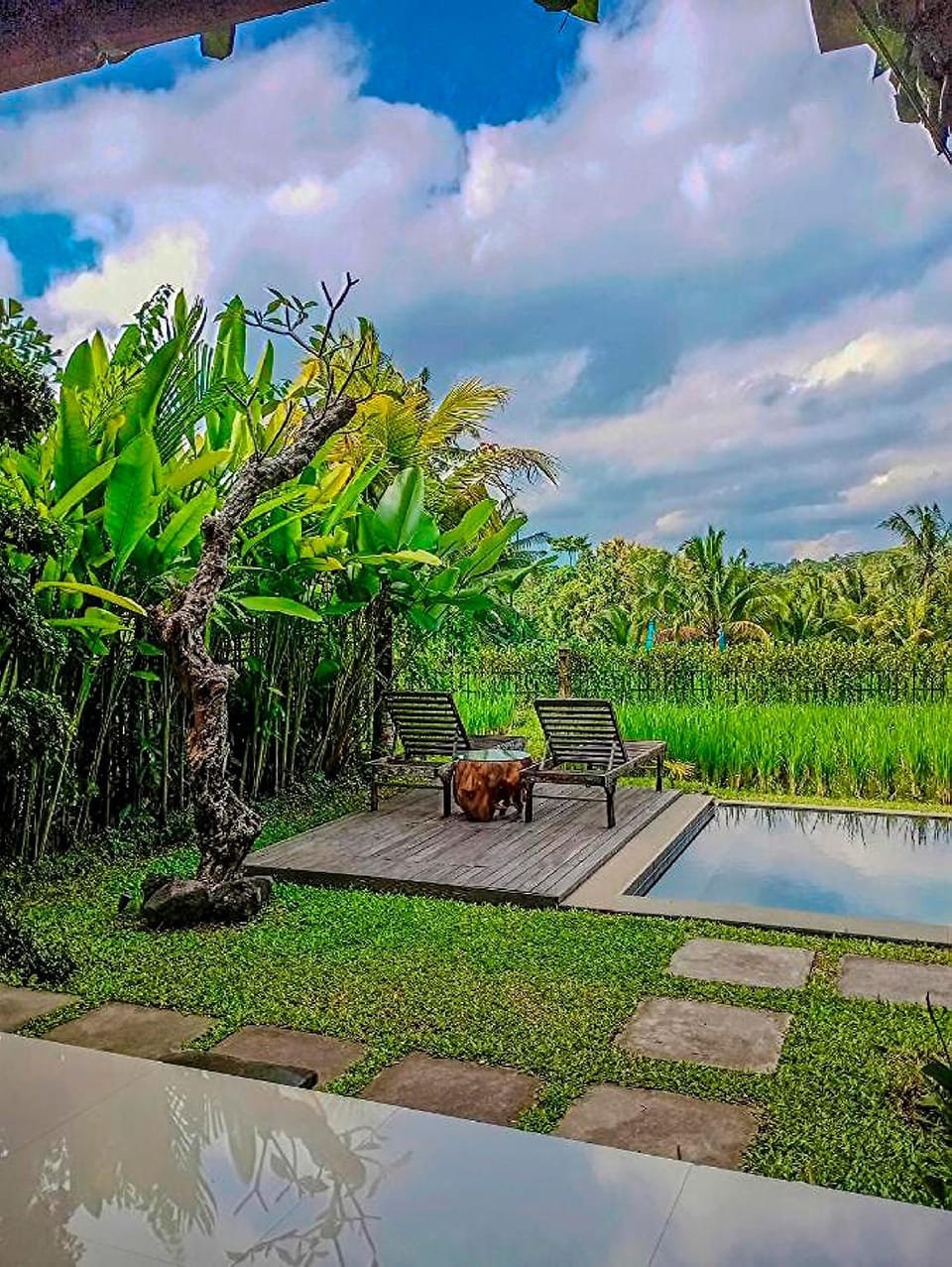 View