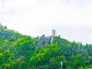 Julias Mosel Villa - Appartment MARK Hotel in Rhineland-Palatinate