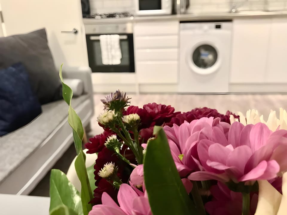 Sprinfield  Apartment in Brighton