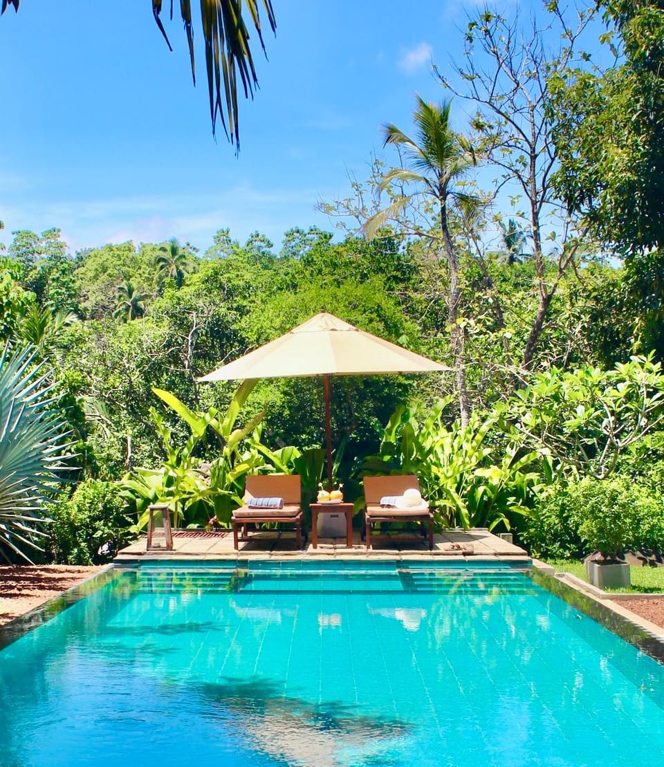 Swimming pool [outdoor]