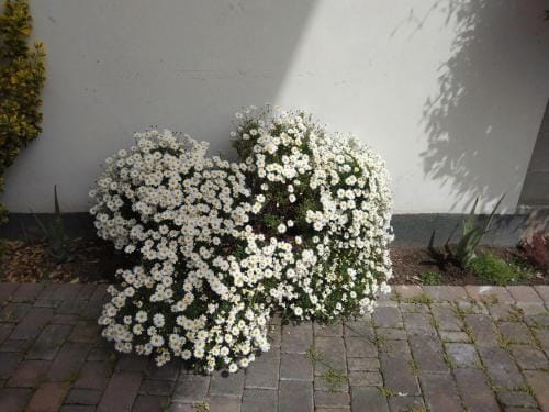 Suite Coccinella Hotel in Friuli-Venezia Giulia