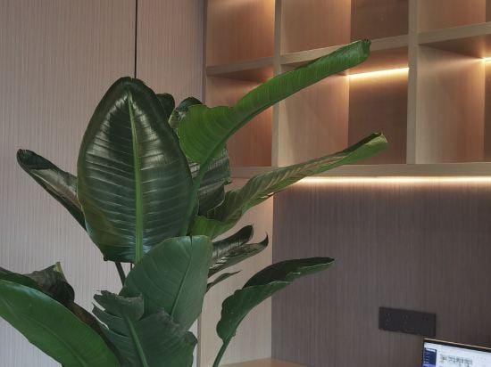 Shaoxing Qianxun Hotel Hotel in Zhejiang