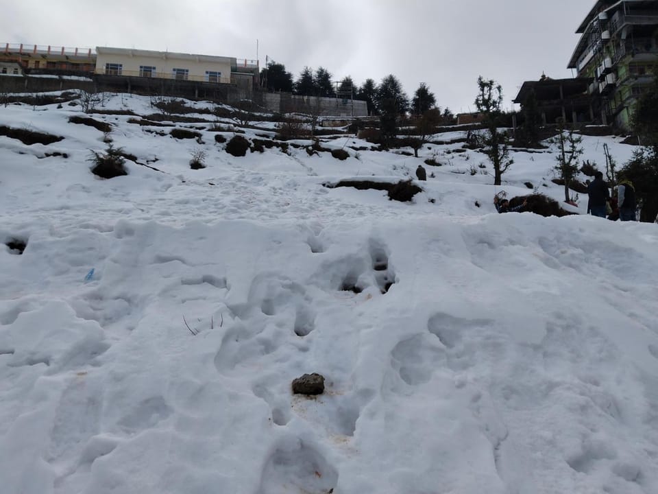 HOTEL HOWARD Hotel in Shimla
