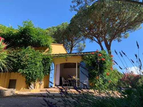 Sous les pins parasols Hotel in Vidauban