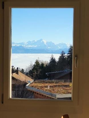 Mountain & Lake View Deluxe Hotel in Canton of Vaud