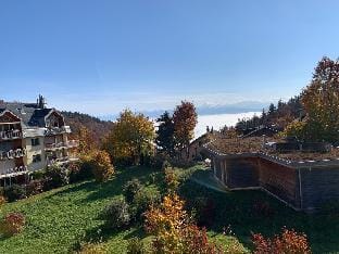 Mountain & Lake View Deluxe Hotel in Canton of Vaud