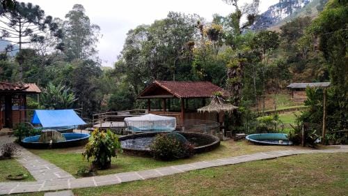 Chales Truta Da Floresta Lodge in State of Rio de Janeiro