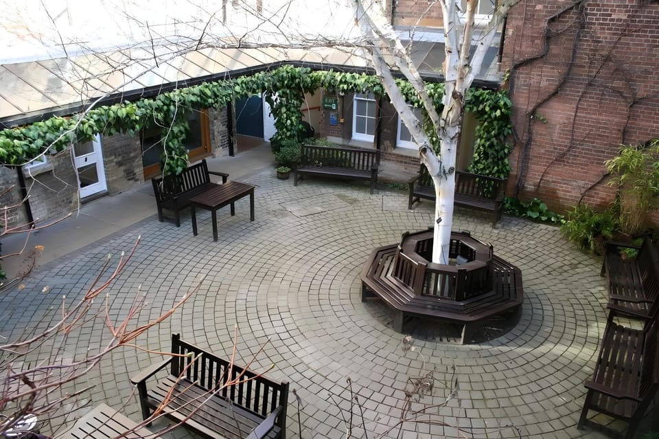 Surrounding environment