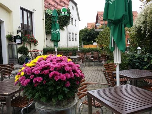 Hotel-Landgasthof Gruner Baum - Dittigheim Hotel in Tauberbischofsheim