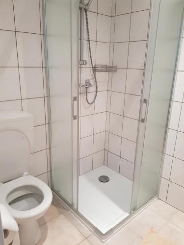 Double Room with Air Conditioning Del Ponte Break Hotel in Locarno