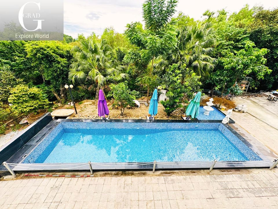 Swimming pool
