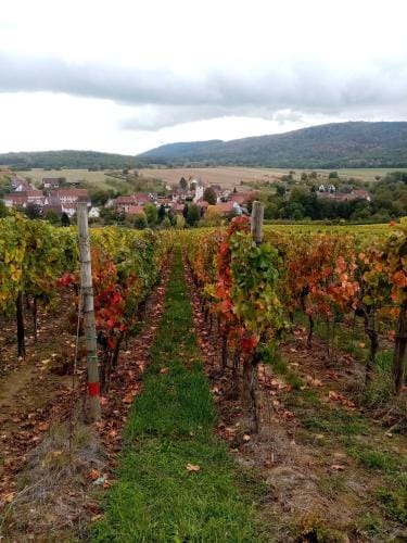 Gite Anne & Jean-Paul Hotel in Rhineland-Palatinate
