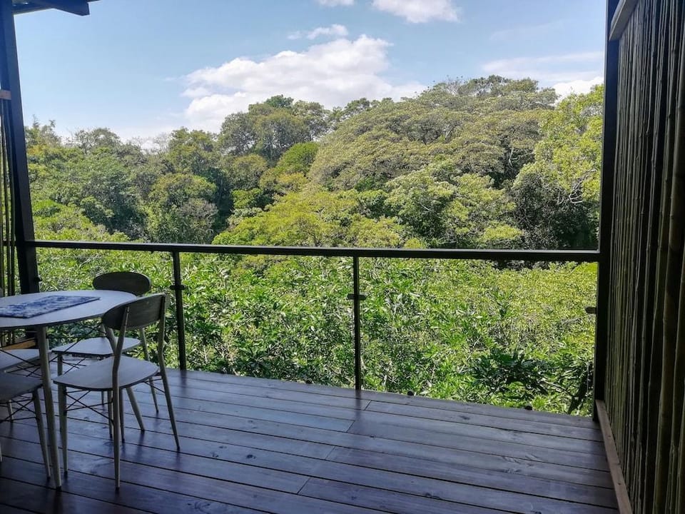 Hotel Pibi Boreal Hotel in Alajuela