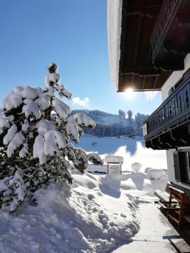 Pension Sonneck Hotel in Salzburgerland