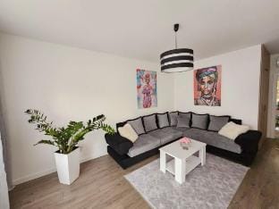 Apartman "Aleksandra" in city center Hotel in Vojvodina