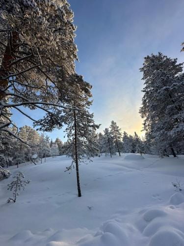 Elves Cabin Wagon Lodge in Rovaniemi