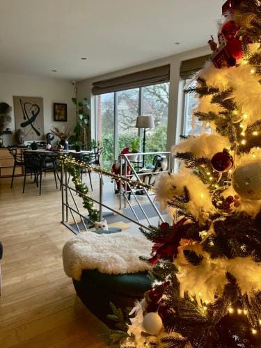 Dreamland Hotel in Flanders