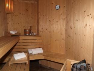 Sonnau vacation apartment near Wildkogelarena Hotel in Salzburgerland