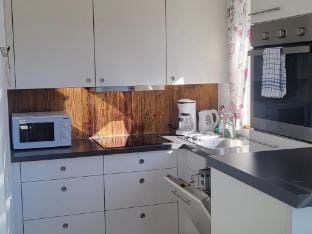 Apartment in Hohe Tauern near Wildkogel Arena Hotel in Salzburgerland