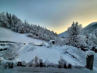 Apartment in Hohe Tauern near Wildkogel Arena Hotel in Salzburgerland