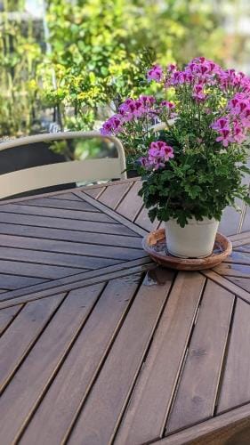 Chambre Voltaire ou Chambre Beckett, terrasse en bord de Sorgue Hotel in Le Thor