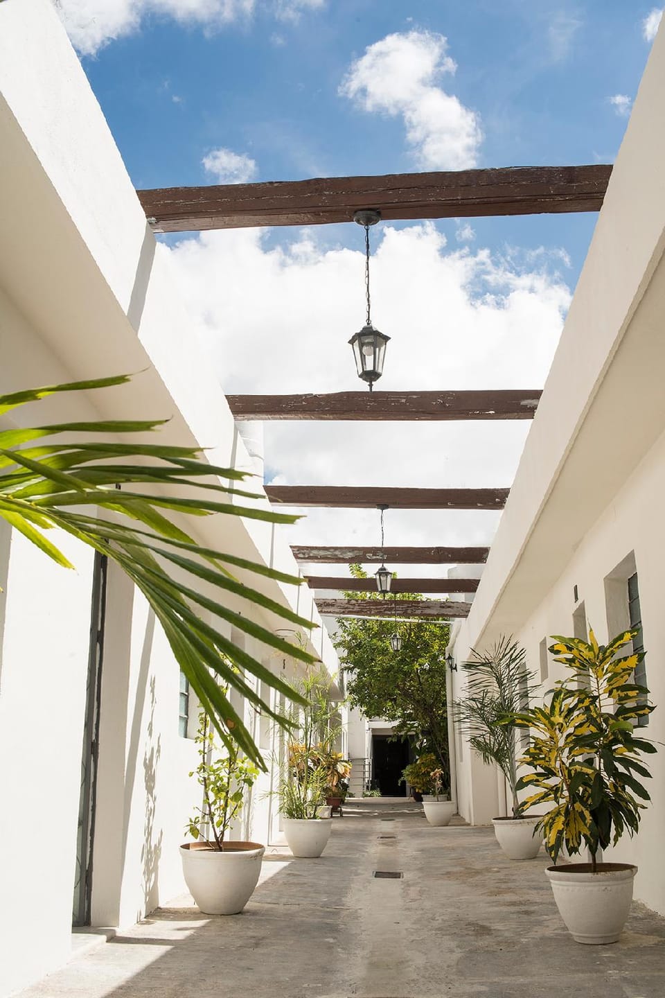 El Tigre de Santiago Hostel in Merida