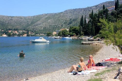 Rooms with a parking space Zaton Mali (Dubrovnik) - 9114 Hotel in Dubrovnik-Neretva County