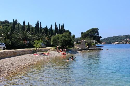 Rooms with a parking space Zaton Mali (Dubrovnik) - 9114 Hotel in Dubrovnik-Neretva County
