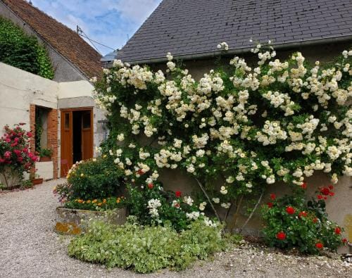 Chambre coquelicot Hotel in Centre-Val de Loire
