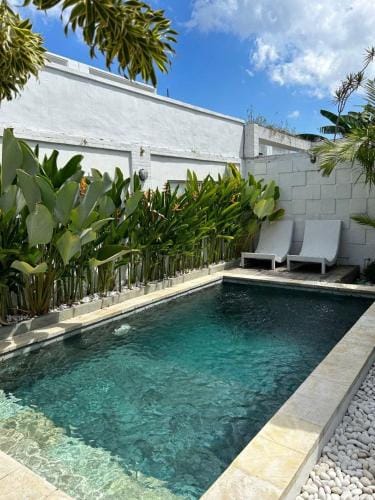 Baliview homestay Hotel in North Kuta