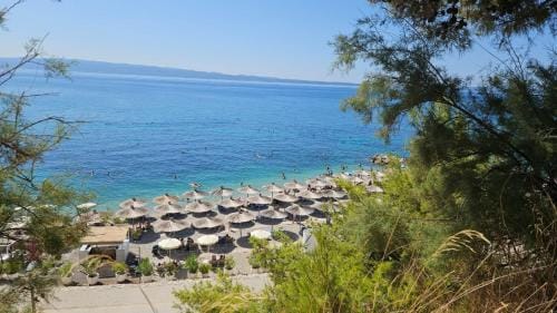 Pino luxury rooms and apartment Hotel in Split