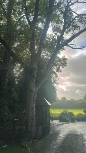 Caney Lodge Hotel in Kilkenny City