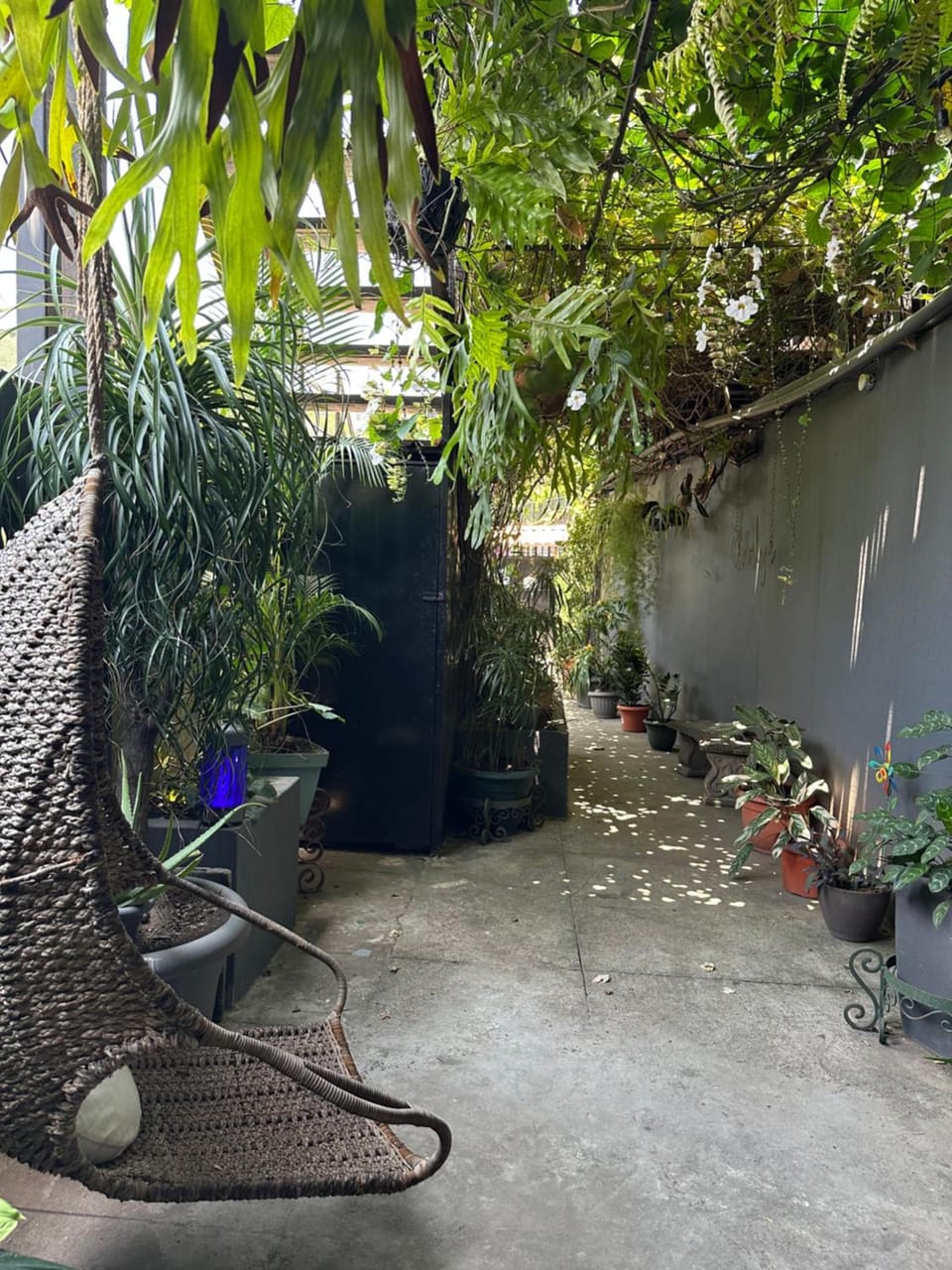 Charlys Place Apartment hotel in San Salvador