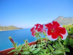 Apartments Filipovic - One-Bedroom Apartment with Balcony and Sea View A1 Hotel in Dubrovnik-Neretva County