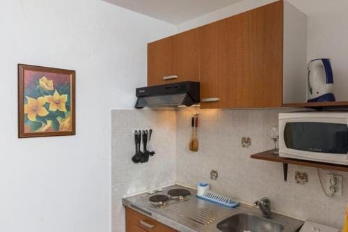 Apartments Milanovic - Superior Studio Apartment with Terrace and Garden View Hotel in Cavtat