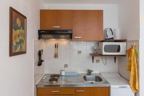 Apartments Milanovic - Superior Studio Apartment with Terrace and Garden View Hotel in Cavtat