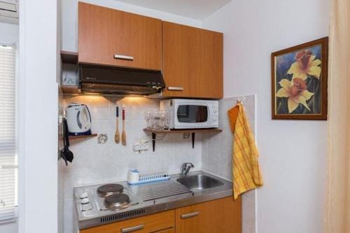 Apartments Milanovic - Premium Studio Apartment with Terrace and Garden View Hotel in Cavtat