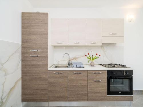 Apartments  Rooms Barisic-Standard One Bedroom Apartment with Balcony and Garden ViewAPT-3 Hotel in Srebreno