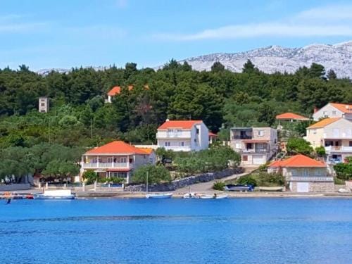 Apartments Radojkovic Lumbarda - Comfort Two Bedroom Apartment with Terrace and Sea View A2 Hotel in Dubrovnik-Neretva County