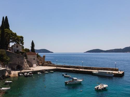 Apartment Pod Nespolom - One Bedroom Apartment with Terrace Hotel in Dubrovnik-Neretva County