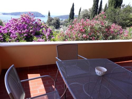 Apartment Luna - One Bedroom Apartment with Terrace and Sea View Molunat Hotel in Dubrovnik-Neretva County