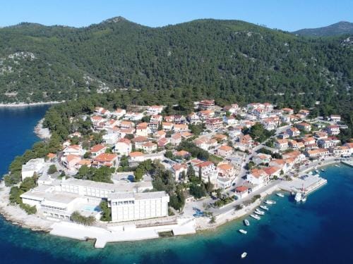 Apartments Peselj-Studio Apartment with Balcony and Sea View  1 Hotel in Dubrovnik-Neretva County