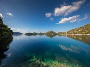 Apartments Bruna Lastovo-Standard One Bedroom Apartment with Balcony and Sea View-Crveni Hotel in Dubrovnik-Neretva County
