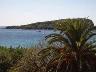 Apartment Dario - One Bedroom Apartment with Terrace and Sea View Hotel in Dubrovnik-Neretva County