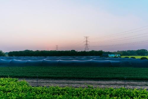 Surrounding environment