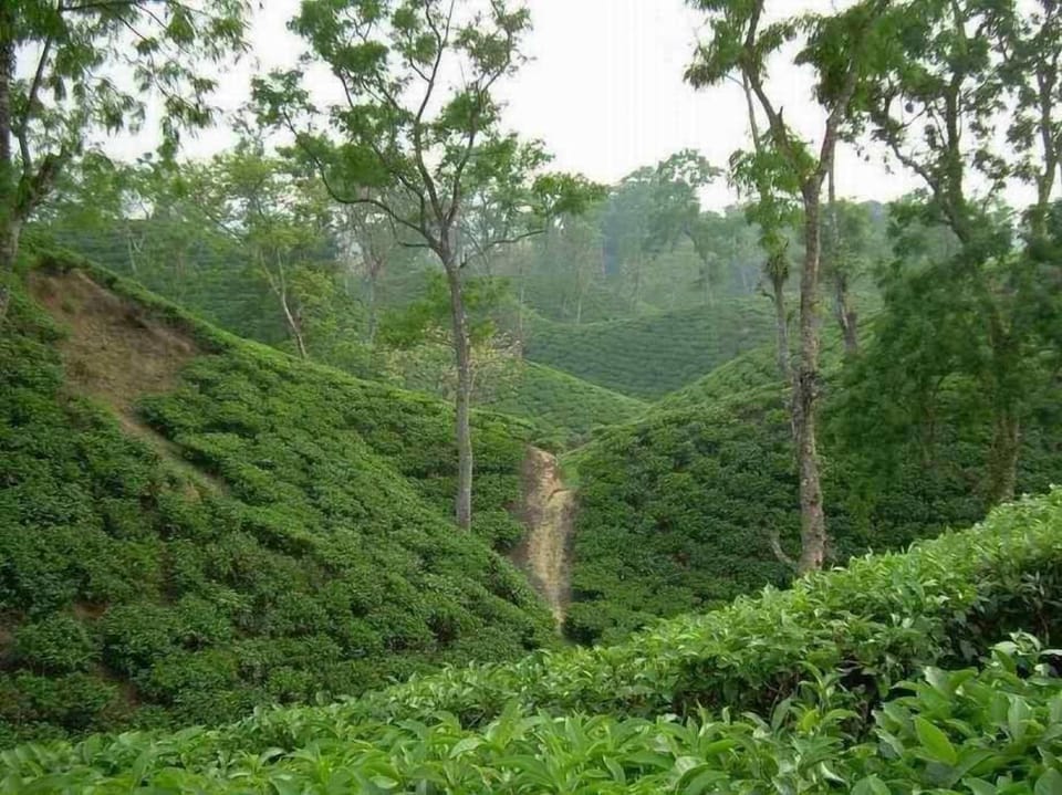 Star Hill Villa Resort House Hotel in Bangladesh