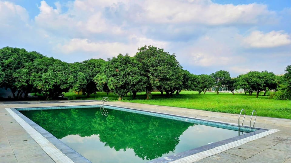 Swimming pool [outdoor]