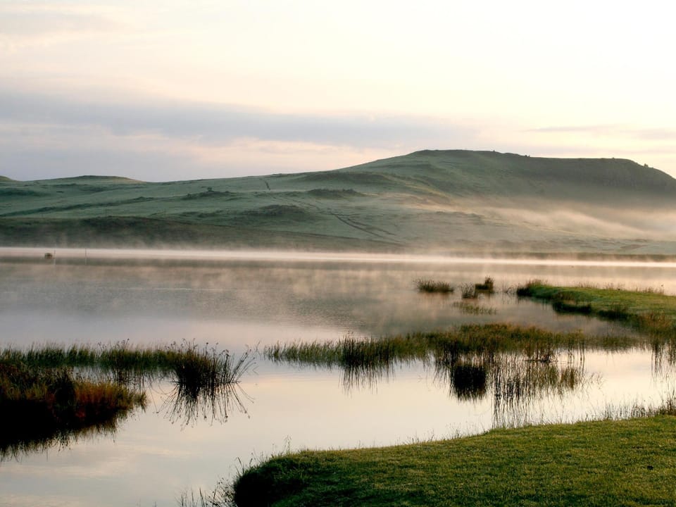 Surrounding environment