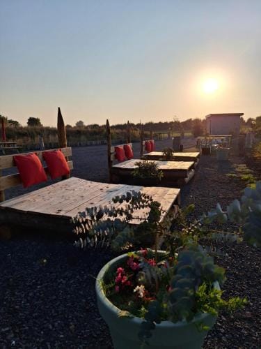 Pond residence Pine 2ppl Adults only Lodge in County Kilkenny