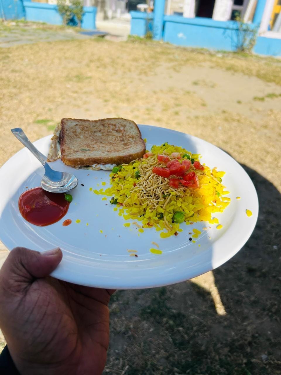 Oak Land House Manali Hostel in Manali